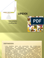  LIPIDOS 