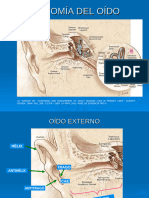 Anatomia Fisiologia Oido