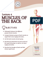 L04 - Muscles of The Back