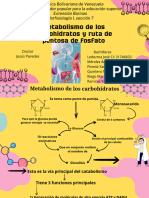 Metabolismo de Los Carbohidratos