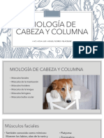 Miologia de Cabeza y Cuello