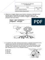 1 Av Ciê 3º Trim 4º Ano