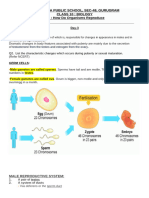 Human Reproduction