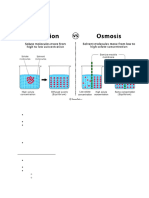 Movement in and Out of Cells