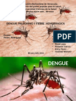 Dengue y Fiebre Hemorragica