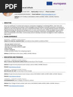 Professional CV With European Style