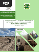 Bfa Marah Dgess Mission-Conjointe Rapport-Juillet-2024-Vf Siapsan