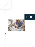 Nicu Report