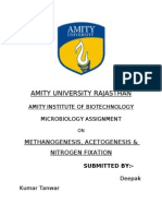 Amity University Rajasthan: Methanogenesis, Acetogenesis & Nitrogen Fixatio N