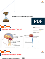 Enfermagem Na Saúde Do Adulto: Acidente Vascular Encefálico