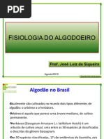  Fisiologia Do Algodoeiro