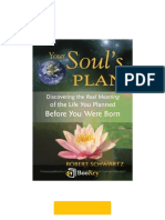 Your Soul's Plan