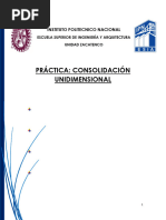 Práctica Consolidación Unidimensional