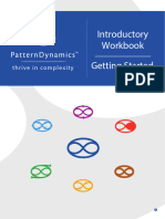 Patterndynamics Introductory Workbook.