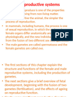 The Reproductive System Lecture Notes by Dr. Lual