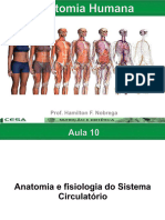 Aula10 Sistemacirculatrio Anatomiaefisiologia 151121030352 Lva1 App6891