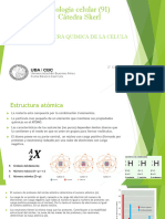 Clase 1 - Estructura Quimica de La Celula