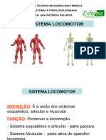 Sistema Locomotor Aula