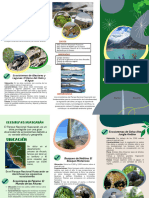 Triptico Ecosistemas Del Huascaran