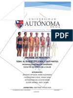 2 Informe (Esqueleto Axial)