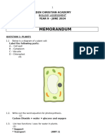 Yr 9 Biology Exam June 2024 Memo