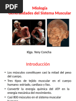 Sistema Muscular Cara-Cuello Columna.