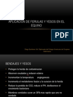 Aplicacion de Ferulas y Yesos en El Equino