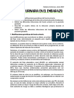 Infección Urinaria Durante El Embarazo Univ Fabiana Contreras