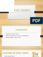 Optic Nerve