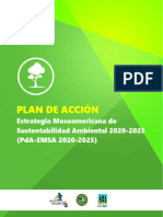 Plan de Acción EMSA - 2020-2025