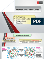 Clase 3 - Membranas Celulares