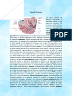 TAREA1 Tópicosselectosdepatología