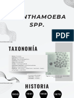 Acanthamoeba y Naeglaria