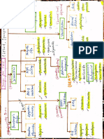 Cardiac Pharmacology