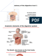 Overview of Anatomy of Digestive Tract Part 1