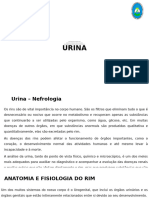 Introdução À Urianálise