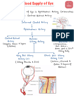 Blood Supply of Eye