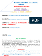 Alfredo Antonio-Ecologia y Medio Ambiente-Mapa Mental-Grupo 601-A