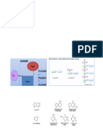 Nucleic Acid by DR Aziz (Med Chem)