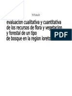 Evaluacion Cualitativa y Cuantitativa de Recursos de Flora y Vegetacion Forestal de Un Tipo de Bosque en Loreto Peru