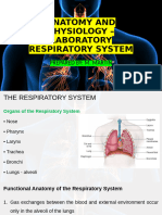 Respiratory System (Anatomy and Physiology) - First Year Nursing