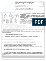 Avaliação Bimestral 2 Ano Plantas