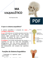 3º Sistema Esquelético - MATERIAL PARA REVISÃO