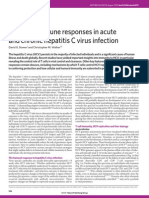 HEP-Adaptive Immune Responses