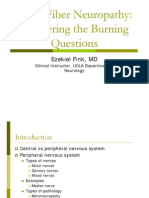 Fink Small Fiber Neuropathy