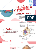 Célula Introducción