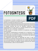 Fotosintesis