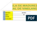 Excel Prototipo de Vineland