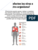 Cómo Afectan Los Virus A Nuestro Organismo