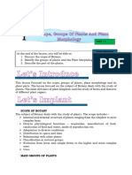 Lesson and Activity 1 - Botany